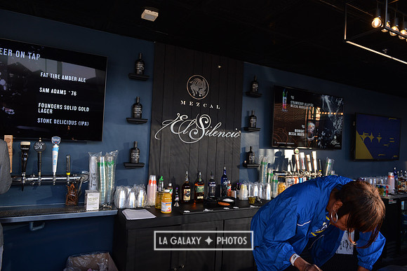 0316019_LAGalaxy_vs_MinnesotaUnitedFC_SC_0289