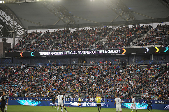 07042018_LAGalaxyvsDCUnited_SC_2179