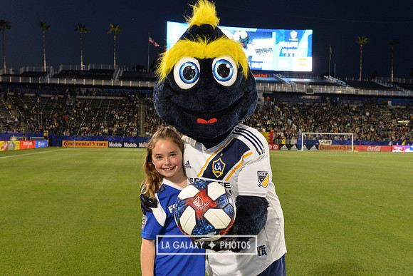 0316019_LAGalaxy_vs_MinnesotaUnitedFC_SC_0932