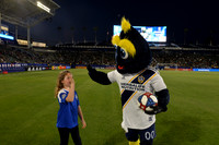 0316019_LAGalaxy_vs_MinnesotaUnitedFC_SC_0928
