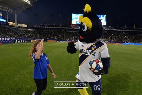 0316019_LAGalaxy_vs_MinnesotaUnitedFC_SC_0930