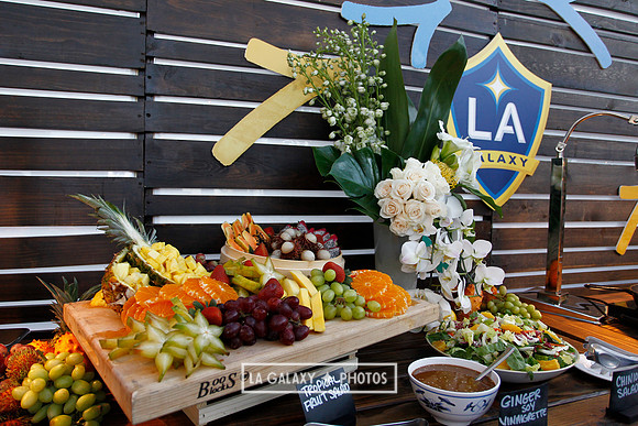 03042018_LAGalaxy_GA_0915