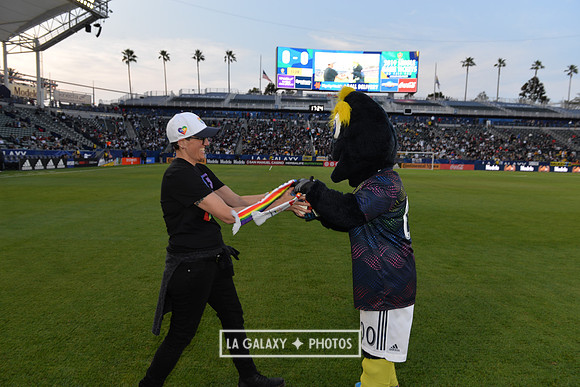 060219_LAGalaxy_vs_NERevolution_SC1048