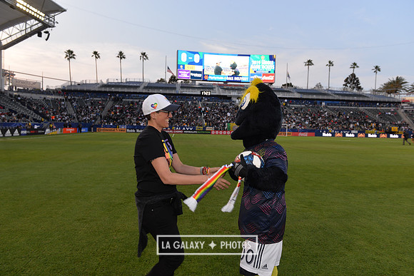 060219_LAGalaxy_vs_NERevolution_SC1049