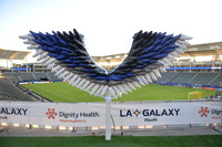 Cleat Wings