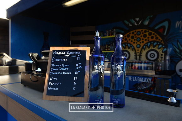 0316019_LAGalaxy_vs_MinnesotaUnitedFC_SC_0205