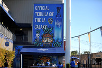 0316019_LAGalaxy_vs_MinnesotaUnitedFC_SC_0020