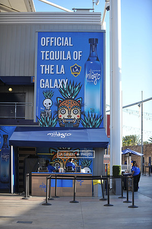 0316019_LAGalaxy_vs_MinnesotaUnitedFC_SC_0008