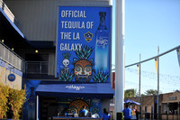 0316019_LAGalaxy_vs_MinnesotaUnitedFC_SC_0019