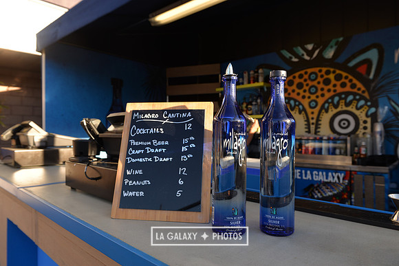 0316019_LAGalaxy_vs_MinnesotaUnitedFC_SC_0217