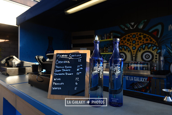 0316019_LAGalaxy_vs_MinnesotaUnitedFC_SC_0204