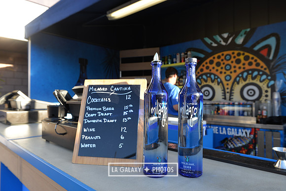 0316019_LAGalaxy_vs_MinnesotaUnitedFC_SC_0210