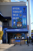 0316019_LAGalaxy_vs_MinnesotaUnitedFC_SC_0011