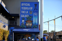 0316019_LAGalaxy_vs_MinnesotaUnitedFC_SC_0018