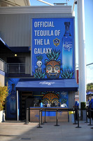 0316019_LAGalaxy_vs_MinnesotaUnitedFC_SC_0012
