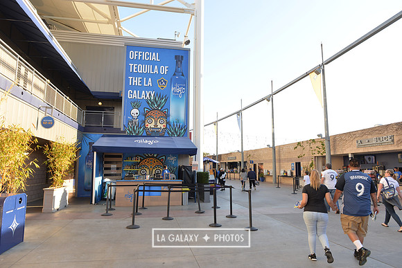 0316019_LAGalaxy_vs_MinnesotaUnitedFC_SC_0195