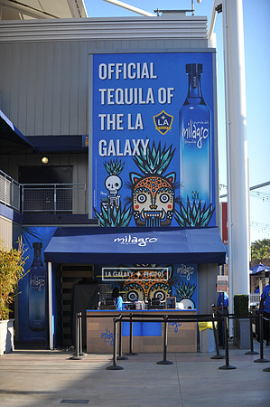 0316019_LAGalaxy_vs_MinnesotaUnitedFC_SC_0013