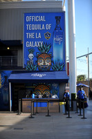 0316019_LAGalaxy_vs_MinnesotaUnitedFC_SC_0010