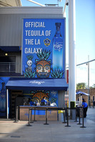 0316019_LAGalaxy_vs_MinnesotaUnitedFC_SC_0007