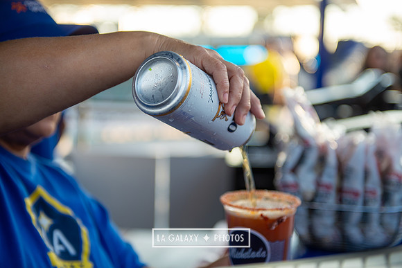 071219_LA_Galaxy_vs_SanJose_SC_0255