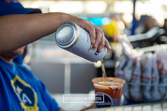 071219_LA_Galaxy_vs_SanJose_SC_0254