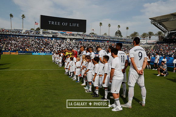 10282018_LAGalaxyvsHouston_GA6382_