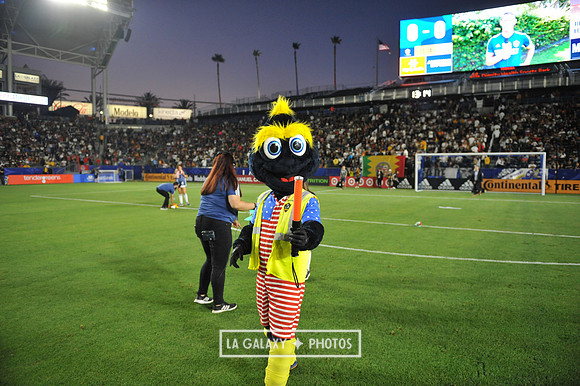 070419_Galaxy_vs_TorontoFC_SC_1197