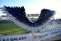 Cleat Wings