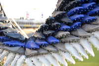 071219_LA_Galaxy_vs_SanJose_SC_0215
