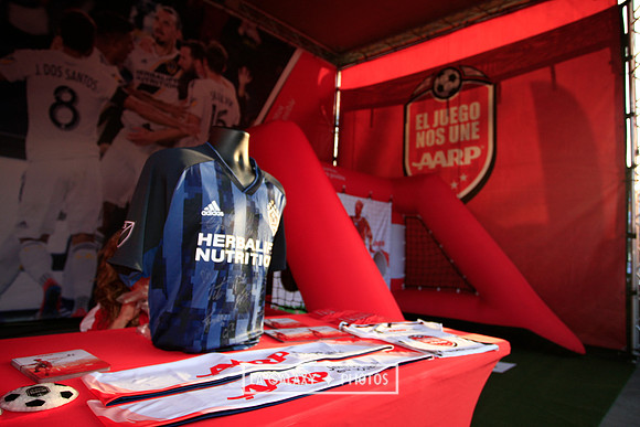 04.19.2019_LAGalaxyvsHouston_GA1184