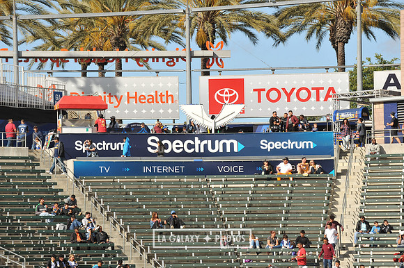 051919_LA_Galaxy_vs_Corado_SC_0640