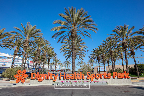 03.16.2019_LAGalaxy_GA_6953