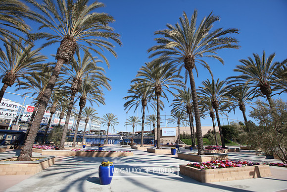 03.16.2019_LAGalaxy_GA_4727