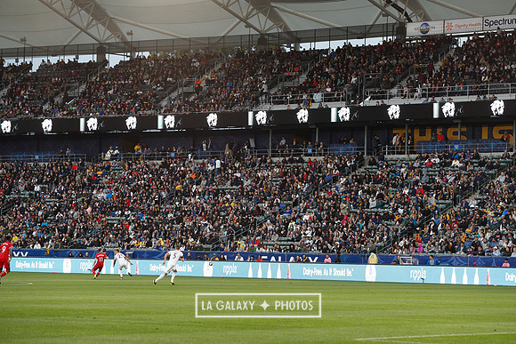 0302019_LAGalaxyvsChicago_1394