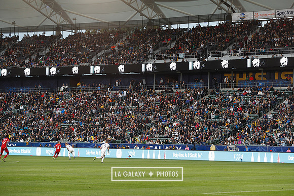 0302019_LAGalaxyvsChicago_1395