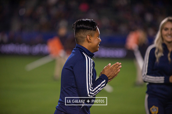 04192019_LAGalaxy_vs_HoustonDynamo_SC_1580