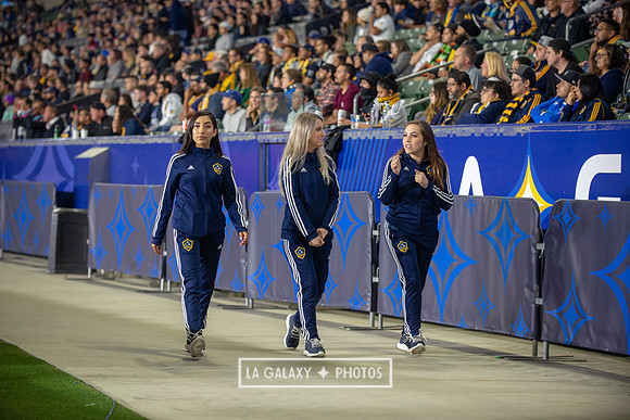 04192019_LAGalaxy_vs_HoustonDynamo_SC_1385