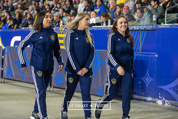 04192019_LAGalaxy_vs_HoustonDynamo_SC_1393