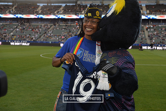 060219_LAGalaxy_vs_NERevolution_SC1080