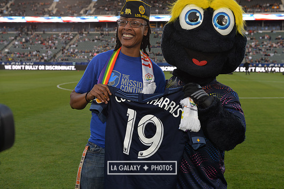 060219_LAGalaxy_vs_NERevolution_SC1082