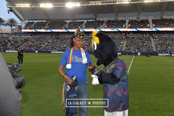 060219_LAGalaxy_vs_NERevolution_SC1093