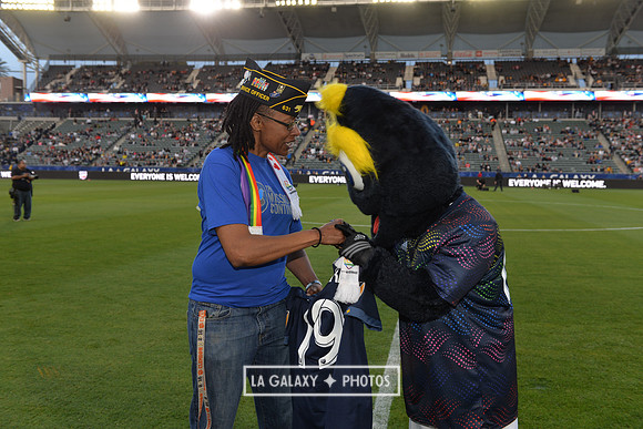 060219_LAGalaxy_vs_NERevolution_SC1085