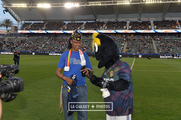 060219_LAGalaxy_vs_NERevolution_SC1092