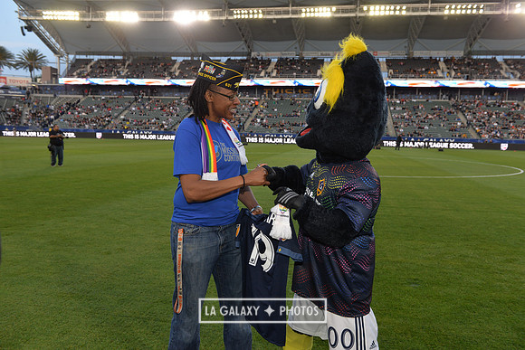 060219_LAGalaxy_vs_NERevolution_SC1087