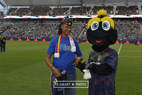060219_LAGalaxy_vs_NERevolution_SC1094