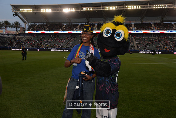 060219_LAGalaxy_vs_NERevolution_SC1088
