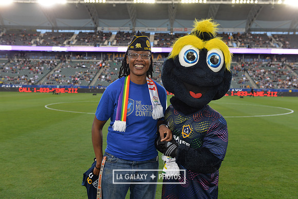 060219_LAGalaxy_vs_NERevolution_SC1096