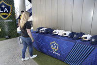 07192019_LAGalaxyvsLAFC_GA_3948