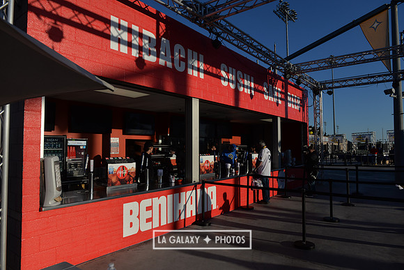 0316019_LAGalaxy_vs_MinnesotaUnitedFC_SC_0265
