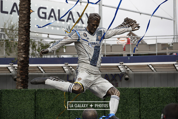 0302019_LAGalaxyvsChicago_2539